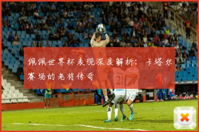 佩佩世界杯表现深度解析:卡塔尔赛场的老将传奇