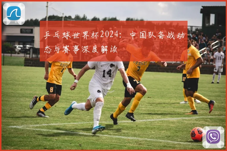 乒乓球世界杯2024:中国队备战动态与赛事深度解读