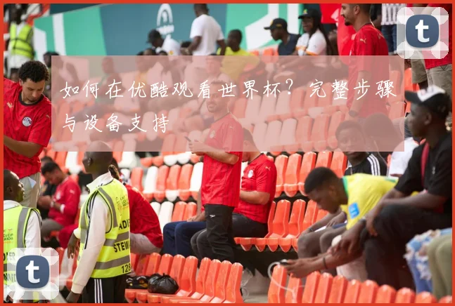 如何在优酷观看世界杯？完整步骤与设备支持