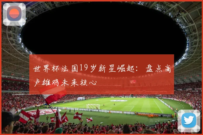 世界杯法国19岁新星崛起：盘点高卢雄鸡未来核心