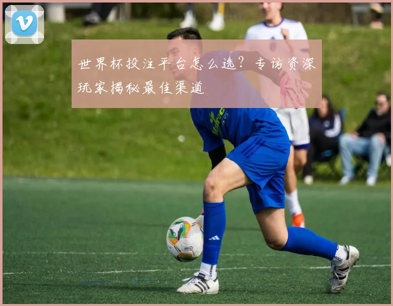 世界杯投注平台怎么选？专访资深玩家揭秘最佳渠道
