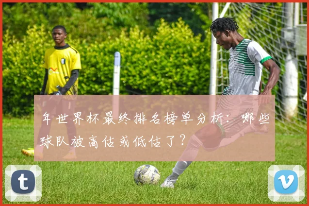 年世界杯最终排名榜单分析：哪些球队被高估或低估了？