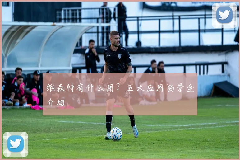 维森特有什么用?五大应用场景全介绍