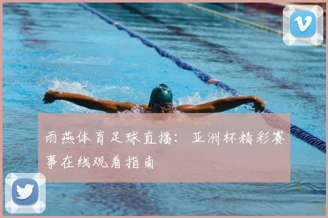 雨燕体育足球直播:亚洲杯精彩赛事在线观看指南