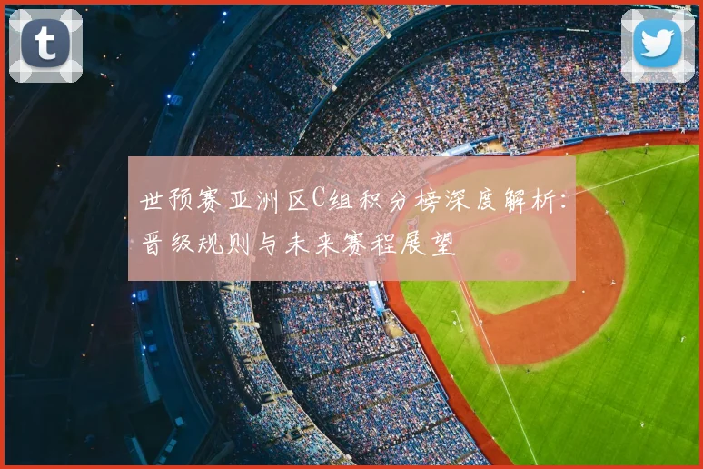 世预赛亚洲区C组积分榜深度解析:晋级规则与未来赛程展望