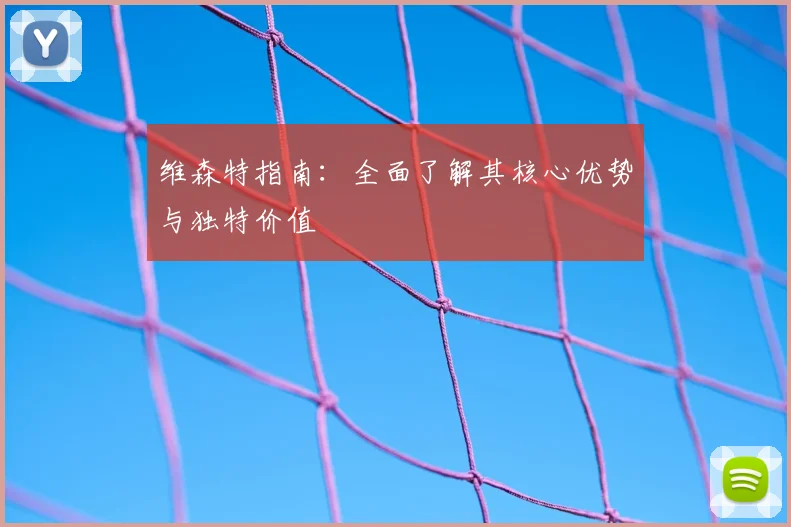 维森特指南：全面了解其核心优势与独特价值