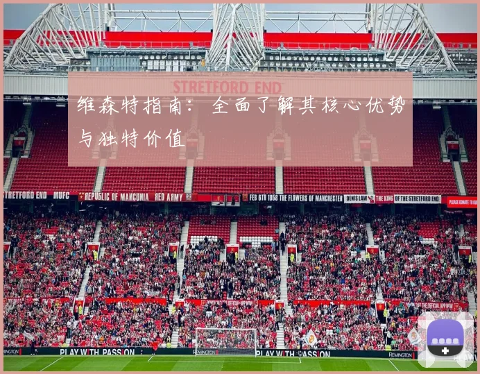 维森特指南:全面了解其核心优势与独特价值