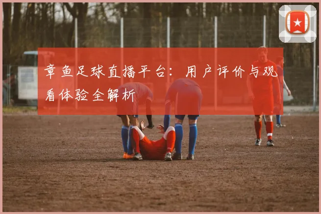 章鱼足球直播平台:用户评价与观看体验全解析